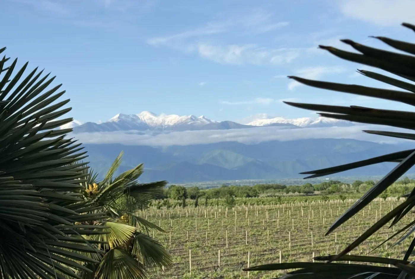 Weingut Berika