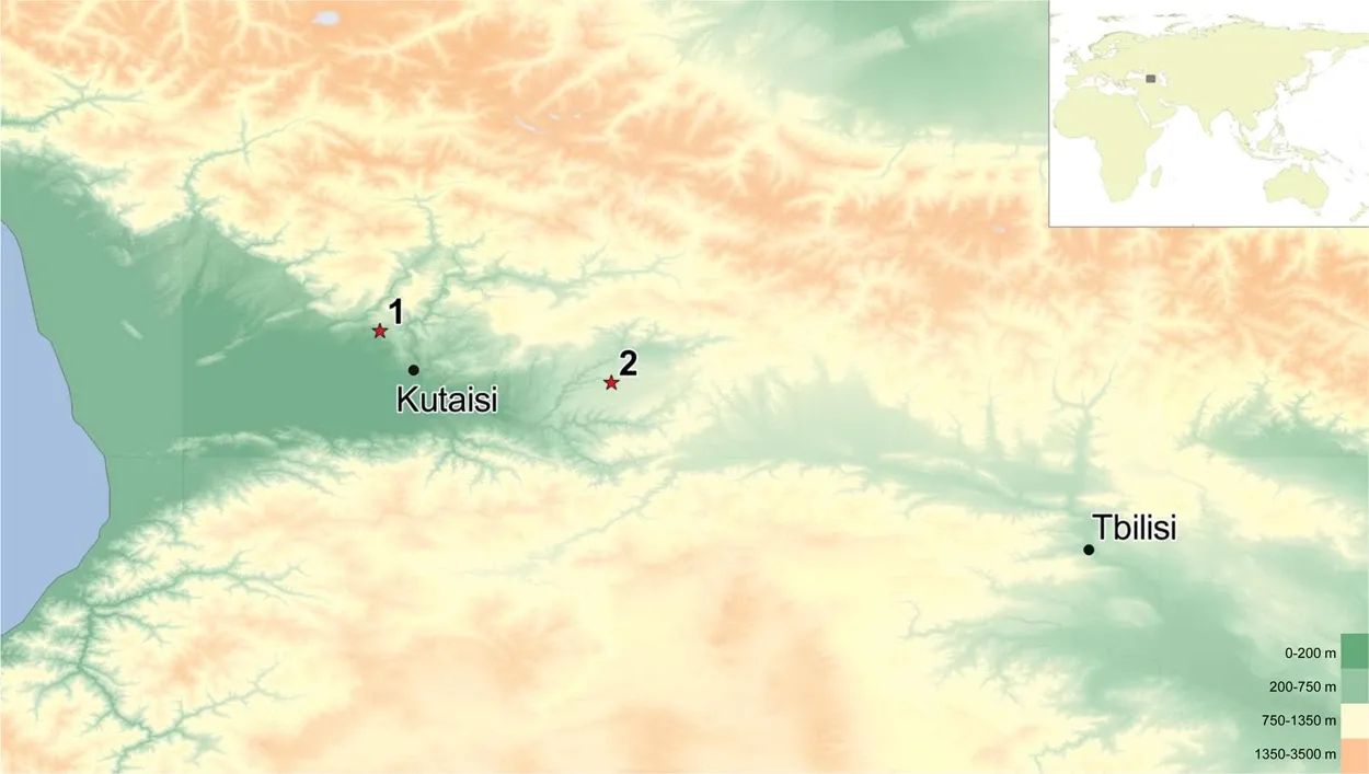 კოტიას კლდე