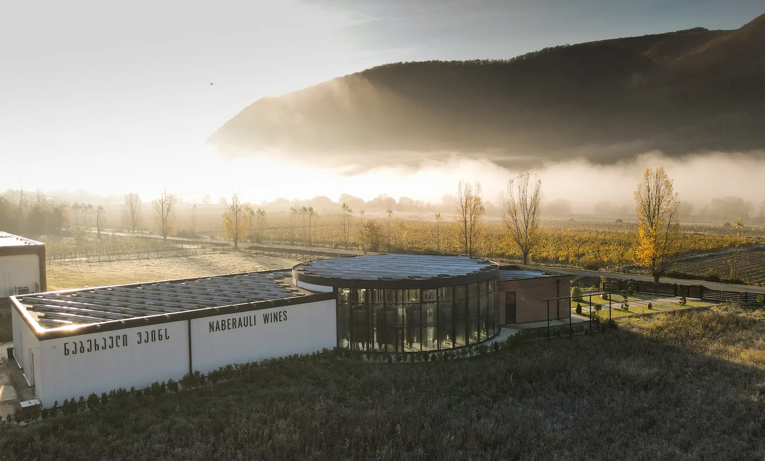 Naberauli Wines