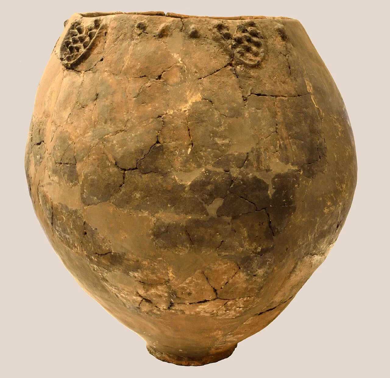 8,000 years of wine